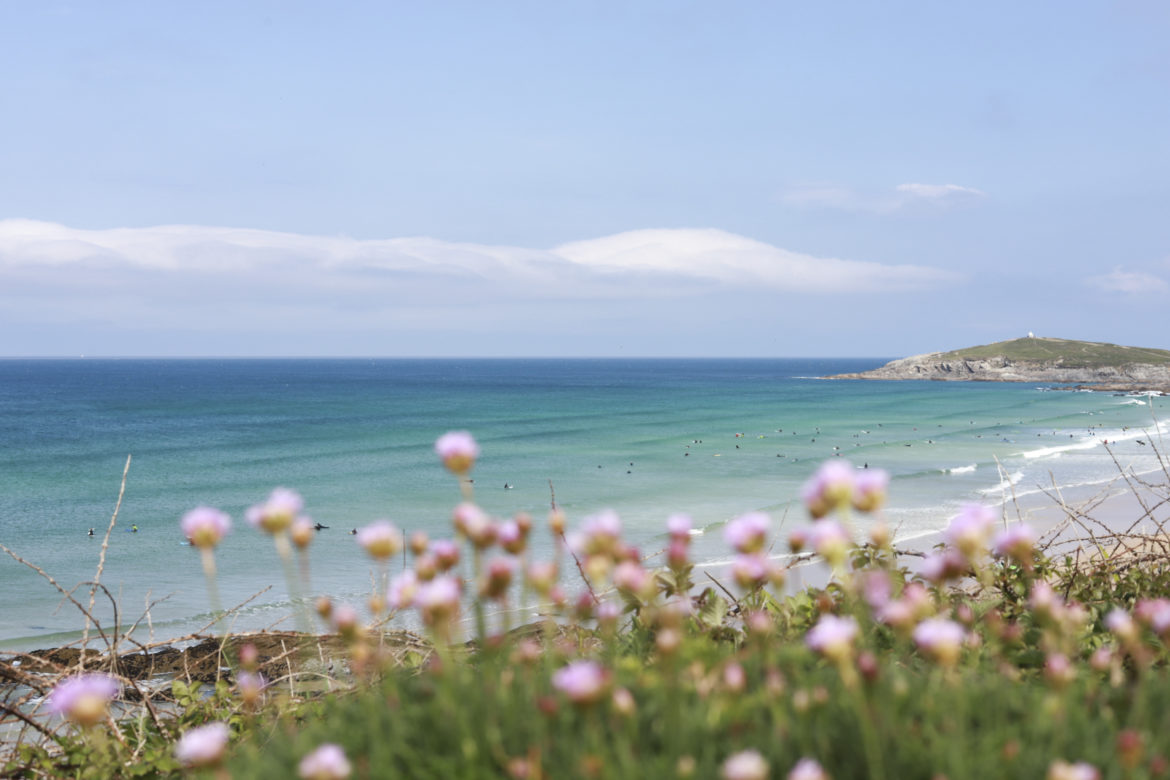 View of Fistral Surf Beach with thrift flowers in the foreground