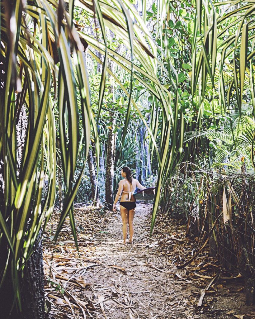 Costa Rica jungle path