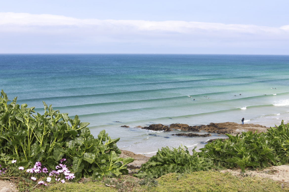 Cornish discount surf brand