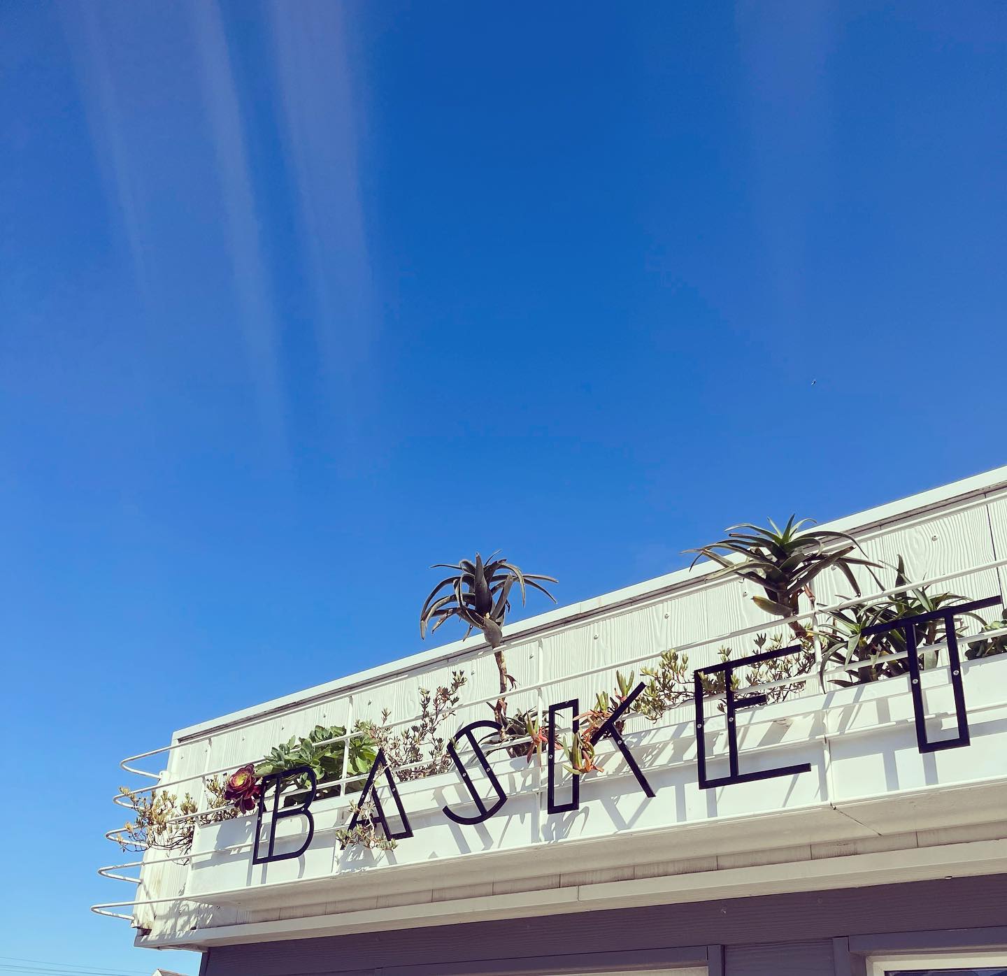 The Best Brunch Spots in Newquay SURF SISTAS